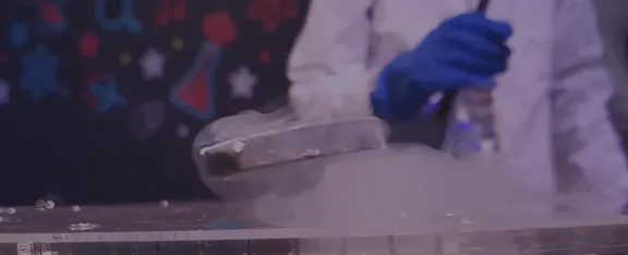 Grid image showing science experiment